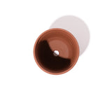 Cactus Store(カクタスストア)|Pot 6Width(ポット6ウィス)|【公式通販 UNION TOKYO】|ユニオントーキョー