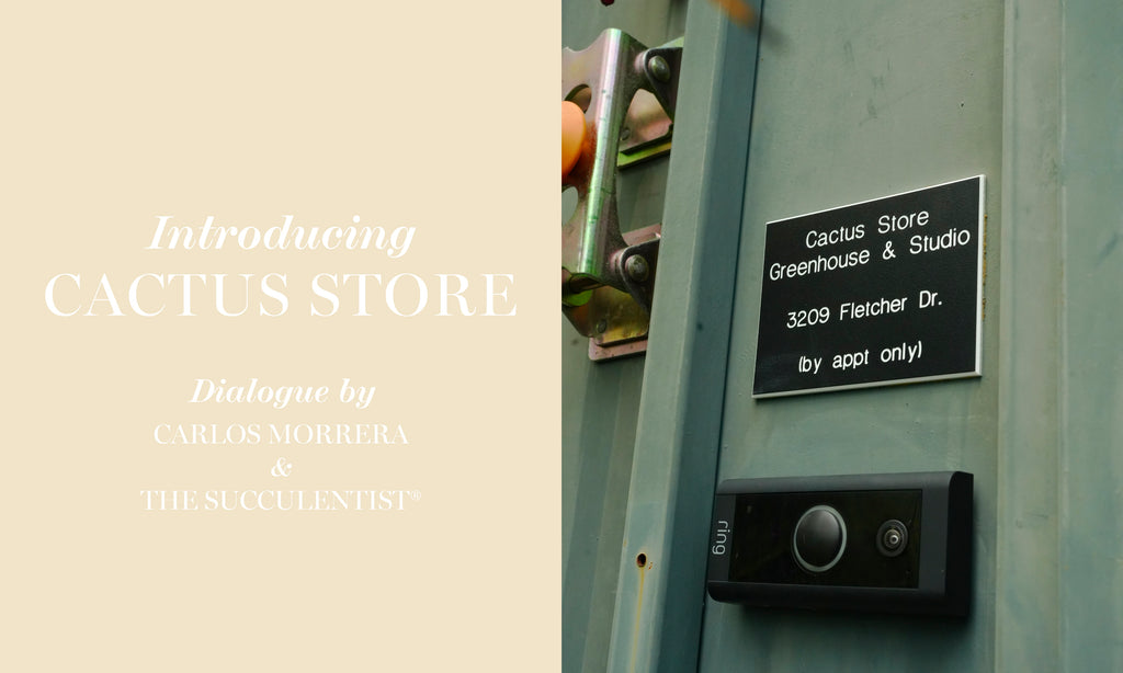INTRODUCING : CACTUS STORE – UNION TOKYO