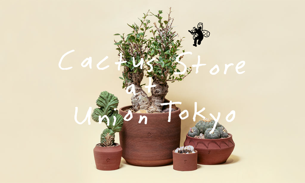 ジャンクガーデン 演出に 高級 早沸釜　MADE IN TOKYO 多肉植物 ジャンクガーデン 演出に 高級 早沸釜 MADE IN TOKYO 多肉植物