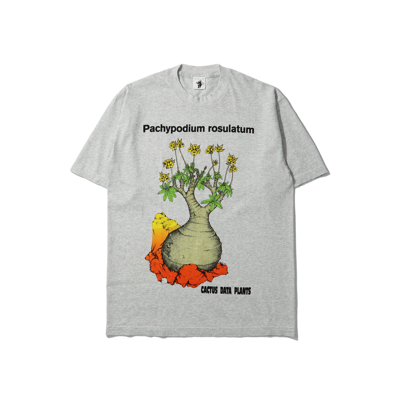 Cactus Store(カクタスストア)｜PACHYPODIUM ROSULATUM TEE(パキポディウムロスラーツムティー)｜【公式通販 UNIONT TOKYO】｜ユニオントーキョー