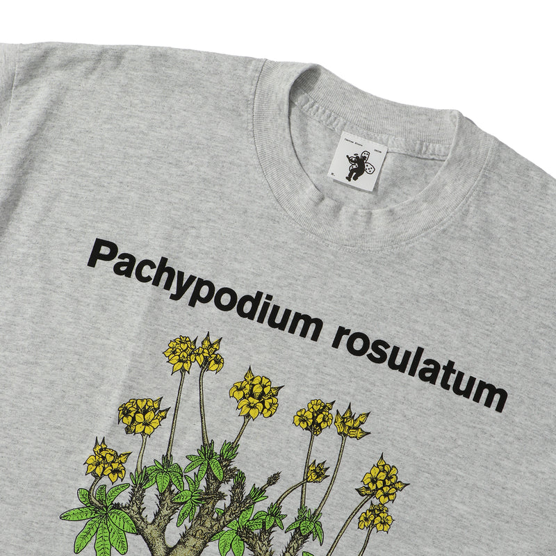 Cactus Store(カクタスストア)｜PACHYPODIUM ROSULATUM TEE(パキポディウムロスラーツムティー)｜【公式通販 UNIONT TOKYO】｜ユニオントーキョー