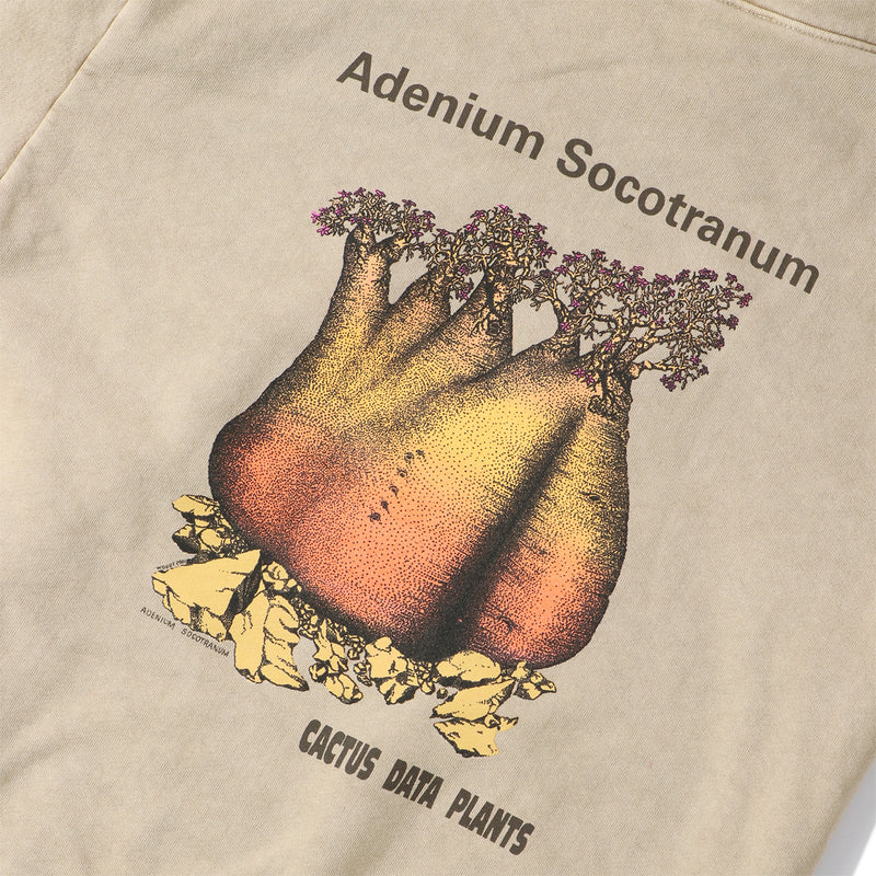 Cactus Store（カクタスストア）/ TOPS（トップス）/ Adenium Socotranum HOODY商品 / Mushroom