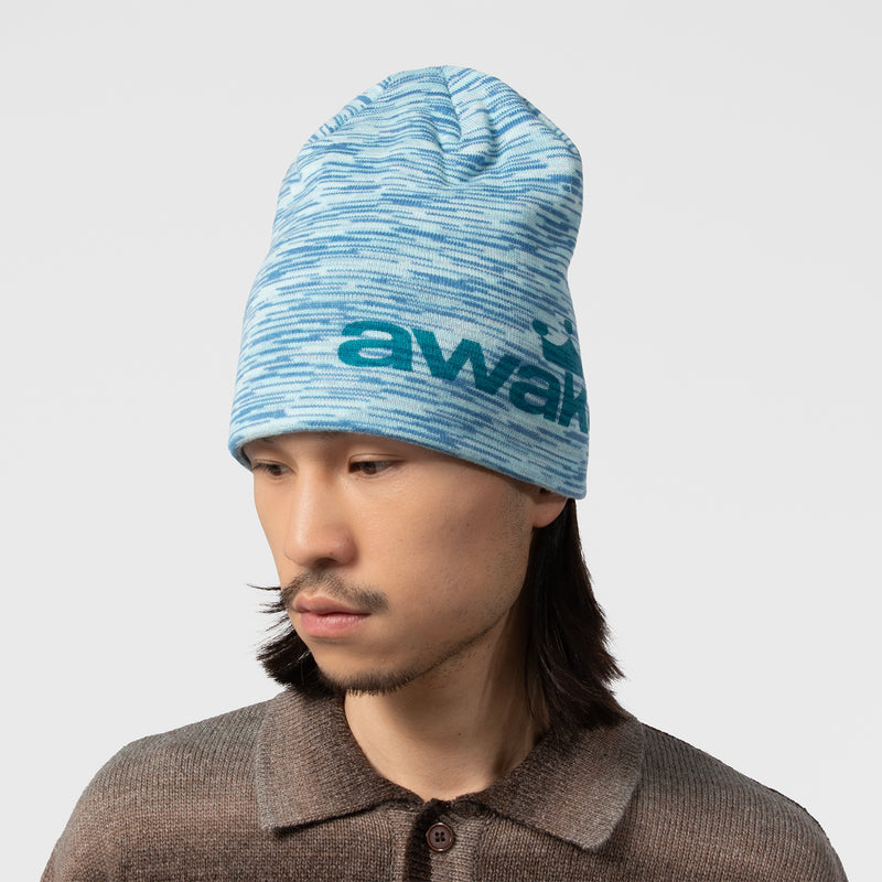 AWAKE NY（アウェイクニューヨーク）/ ACCESSORIES（アクセサリー）/ GRADIENT CROWN LOGO SKULLY商品 / BLUE