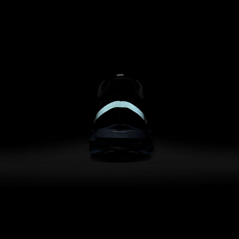 NIKE（ナイキ）/ SHOES（シューズ）/ Nike Pegasus Premium商品 / ANTHRACITE/PURE PLATINUM-ASHEN SLATE