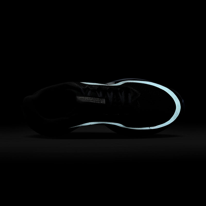 NIKE（ナイキ）/ SHOES（シューズ）/ Nike Pegasus Premium商品 / ANTHRACITE/PURE PLATINUM-ASHEN SLATE